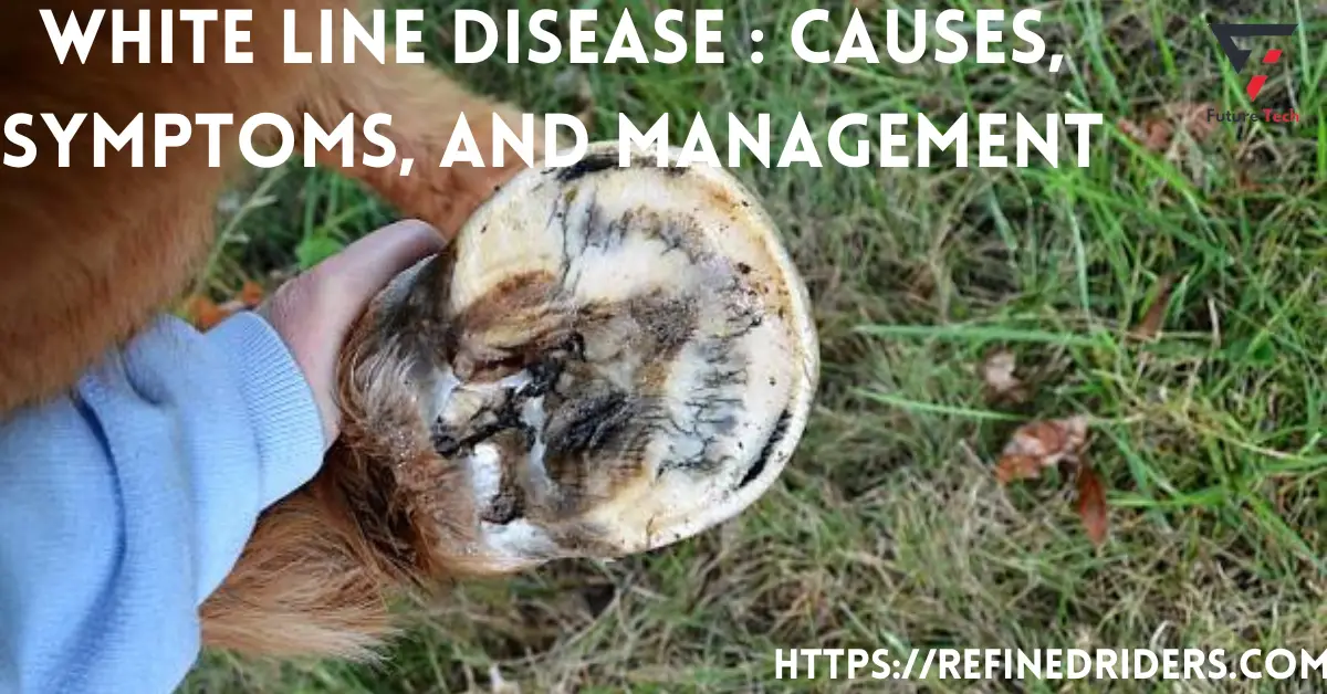 Horses frequently suffer from White Line Disease (WLD), which is referred to as rotten toe. The white line, which connects the hoof wall and sole.