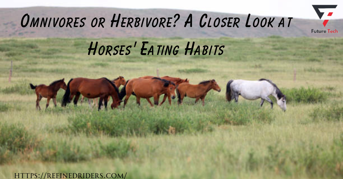 They classify horses as herbivores, not omnivores. They specialise their digestive systems for processing plant-based materials and primarily consume grasses, hay, and other forms of vegetation.