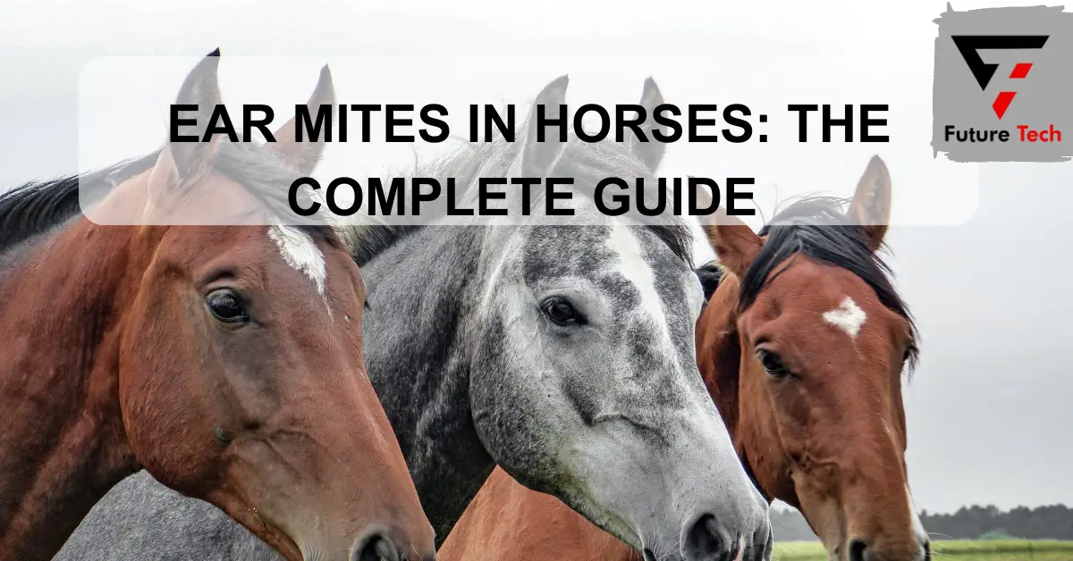 Ear mites in horses: The complete guide