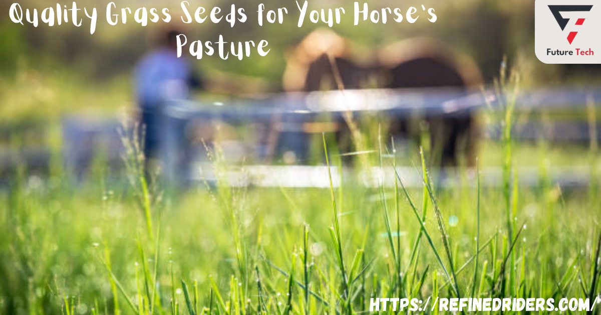 You should put money into high-quality pasture seed for your horse's health. Your grass seed combination should be rich in minerals.