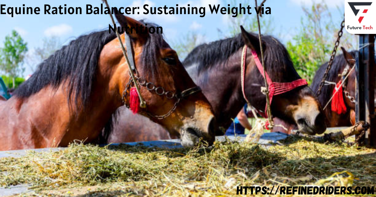 Ration balancers, often called forage/hay balancers, provide your horse with a concentrated supply of protein, vitamins, and minerals.