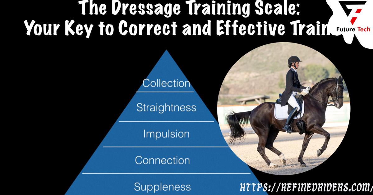 A thorough training regimen for horses, the Dressage Scale of Training is based on the German cavalry's "Heeresdienstvorschrift H.Dv.