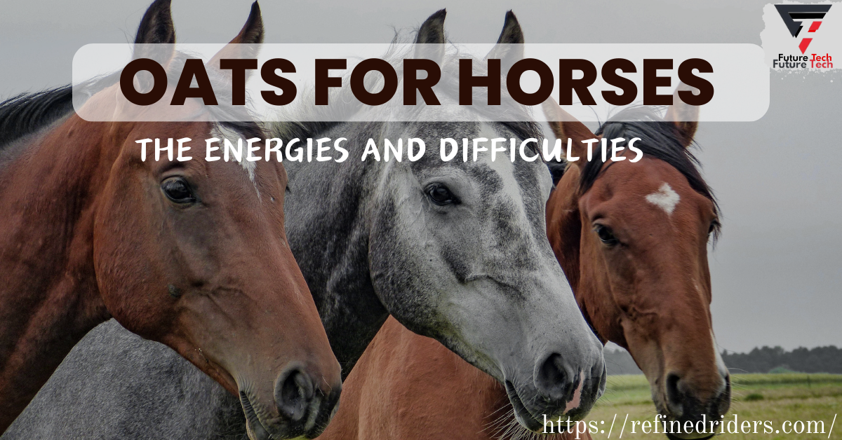 Oats are a nutritious and delicious grain for horses, providing quick-release energy, protein, fiber, and B vitamins.