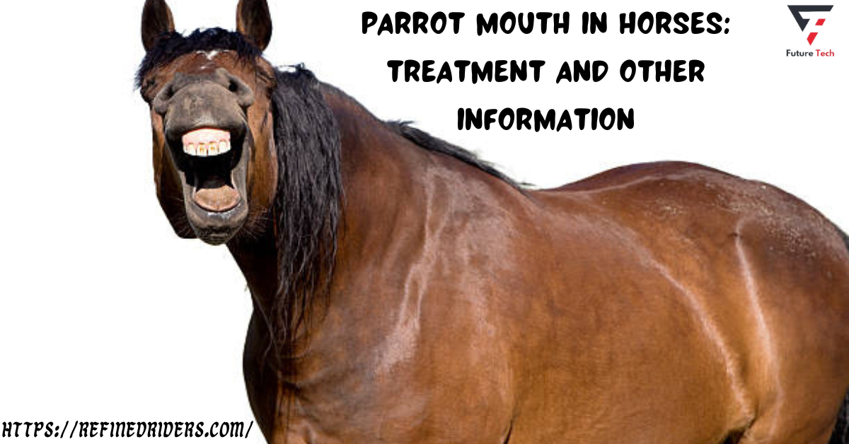 Parrot mouth in horses is a condition where the upper incisor teeth project more forward than the lower teeth.