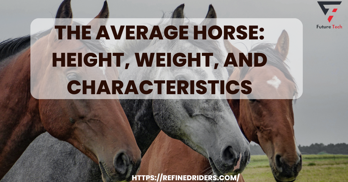For excellent horsemanship, it is essential to know average horse height. This measurement specifies the specific breed.