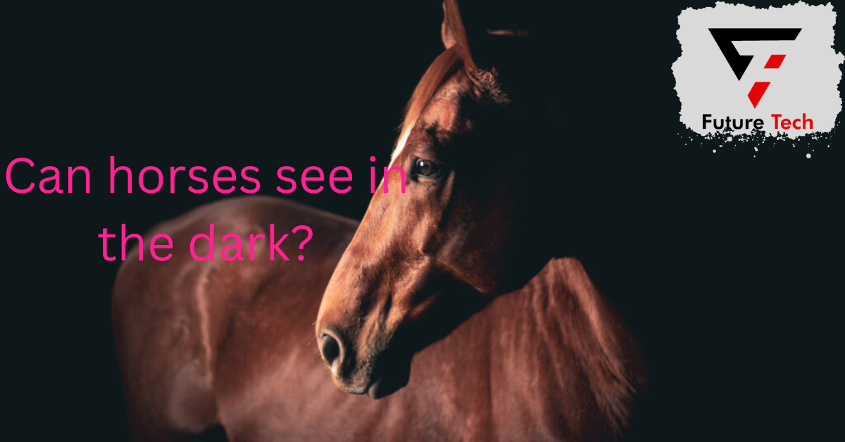 Whether or not horses can see in the dark has piqued the interest of horse enthusiasts, riders, and academics .