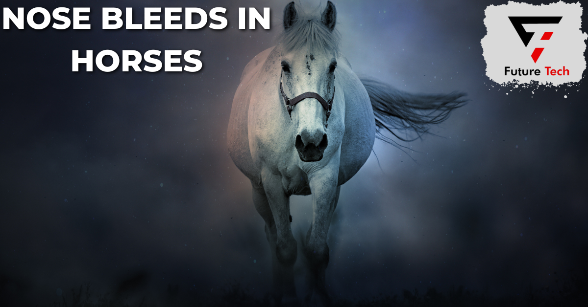Epistaxis or nose bleeds in horses, can be alarming, but many recover without problems if they receive the proper care and attention quickly.