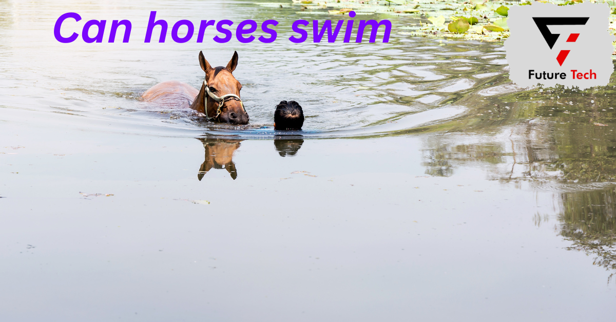 When allowing horses to swim, it's crucial to respect their natural movements and try to avoid hindering them.