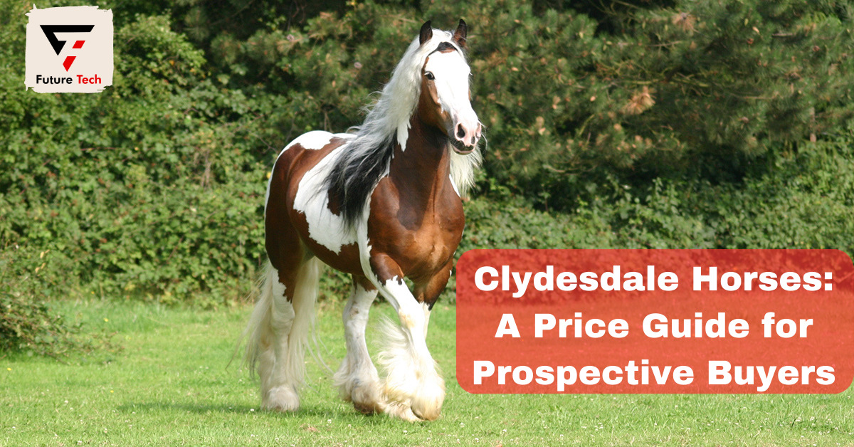 Clydesdale horses are highly prized for their strength and adaptability. They become known for their spectacular height and loving nature.
