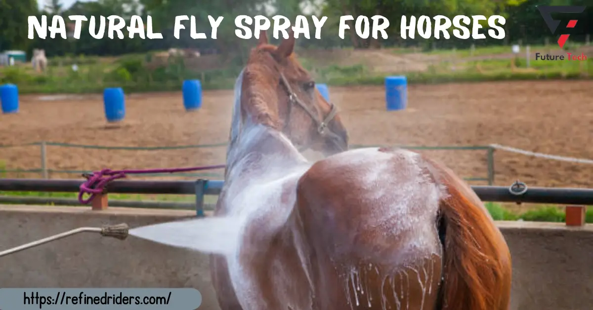 Horse natural fly spray made at home are safer, more affordable, and environmentally friendly. Rubbing alcohol, essential and carrier oils.