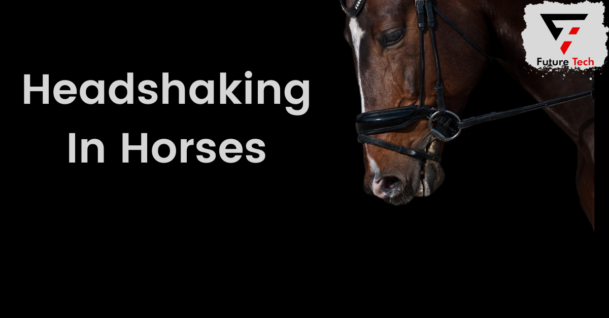 Headshaking in horses is a mysterious condition that can manifest in various ways, from minor tics to chronic and severe shaking.
