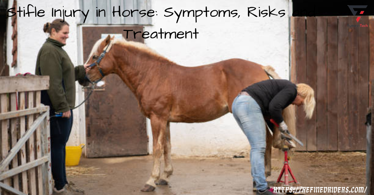 Strict braking, rapid direction changes, trauma, continual strain, and overuse may all lead to stifle injury in horses.