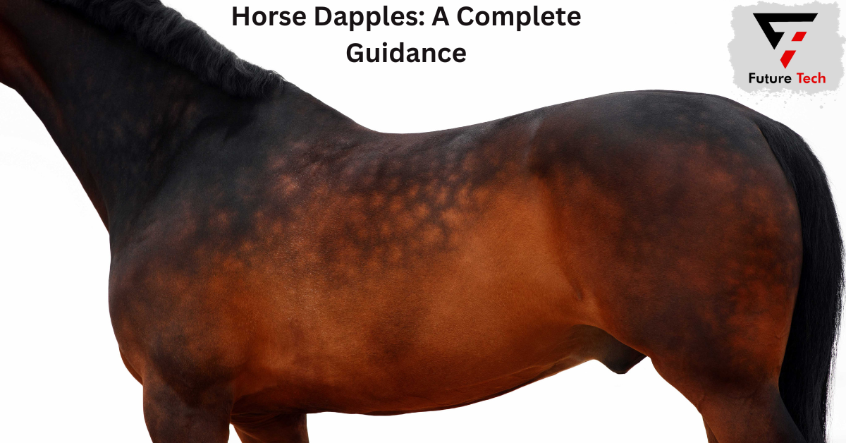 Horse Dapples are spherical regions of hair that differ in color or depth from the surrounding or base coat.